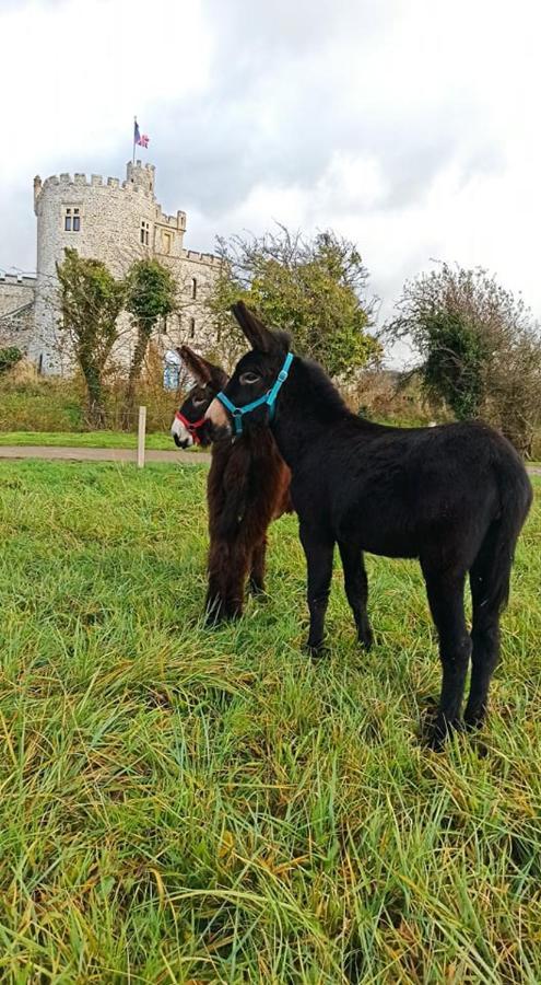 Les Anes Du Chateau D Hardelot, Pour 2 A 5 Pers Condette ภายนอก รูปภาพ