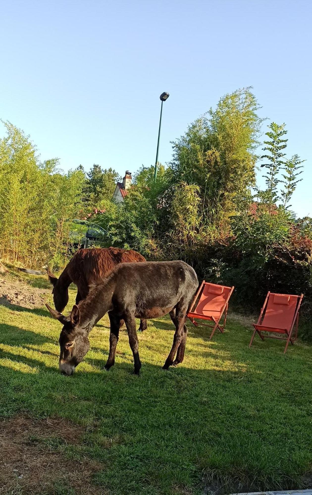 Les Anes Du Chateau D Hardelot, Pour 2 A 5 Pers Condette ภายนอก รูปภาพ