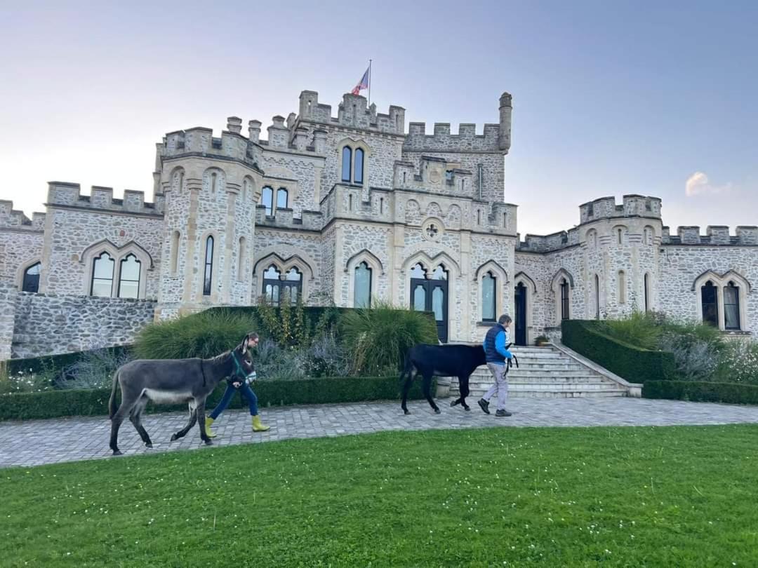 Les Anes Du Chateau D Hardelot, Pour 2 A 5 Pers Condette ภายนอก รูปภาพ